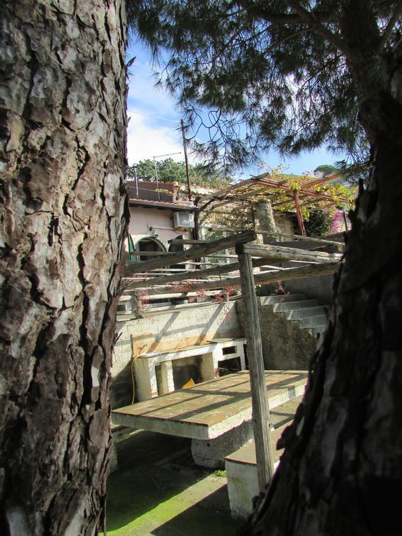 卡斯泰尔莫拉 Rifugio Dei Tre Pini旅馆 外观 照片